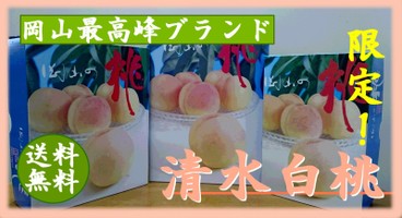 商品イメージ