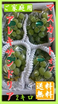 商品イメージ