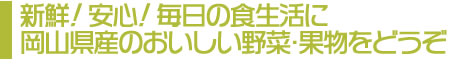 コンセプト